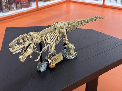 Jeu construction tyrannosaure